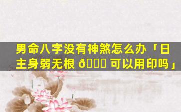 男命八字没有神煞怎么办「日主身弱无根 🍁 可以用印吗」